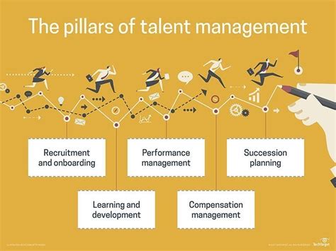 The Talent Management System in a Nutshell .